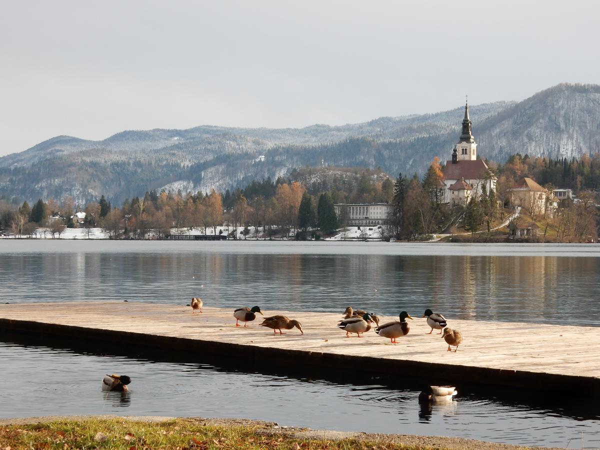 Lake House Sebanc Bled Dış mekan fotoğraf